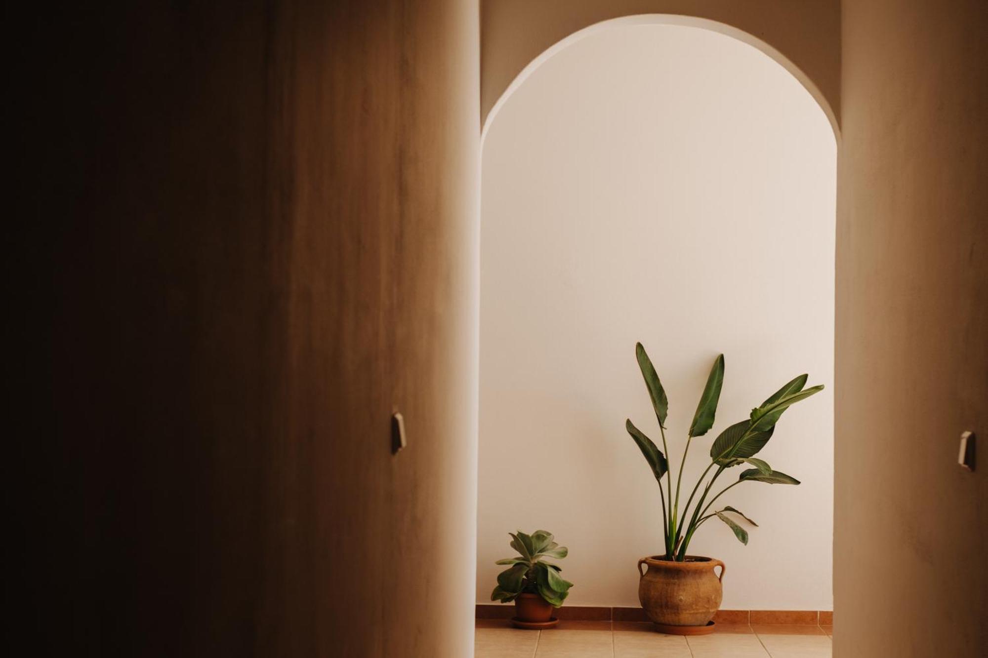 Finikas Apartments プラキアス エクステリア 写真
